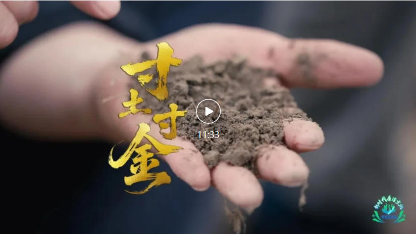 【新时代廉洁文化微短剧展播】《寸土寸金》