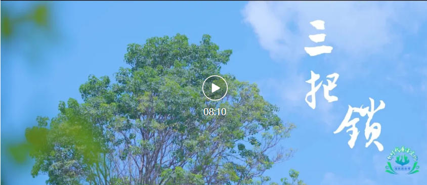 【新时代廉洁文化微短剧展播】《三把锁》