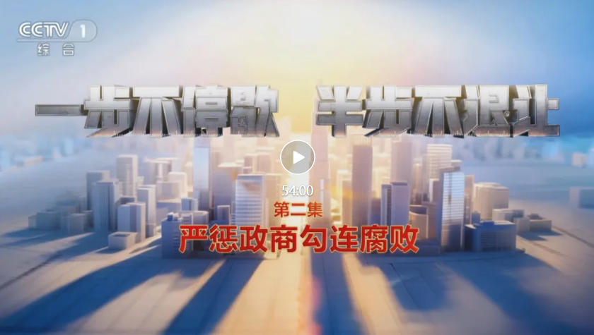 电视专题片《一步不停歇 半步不退让》第二集《严惩政商勾连腐败》